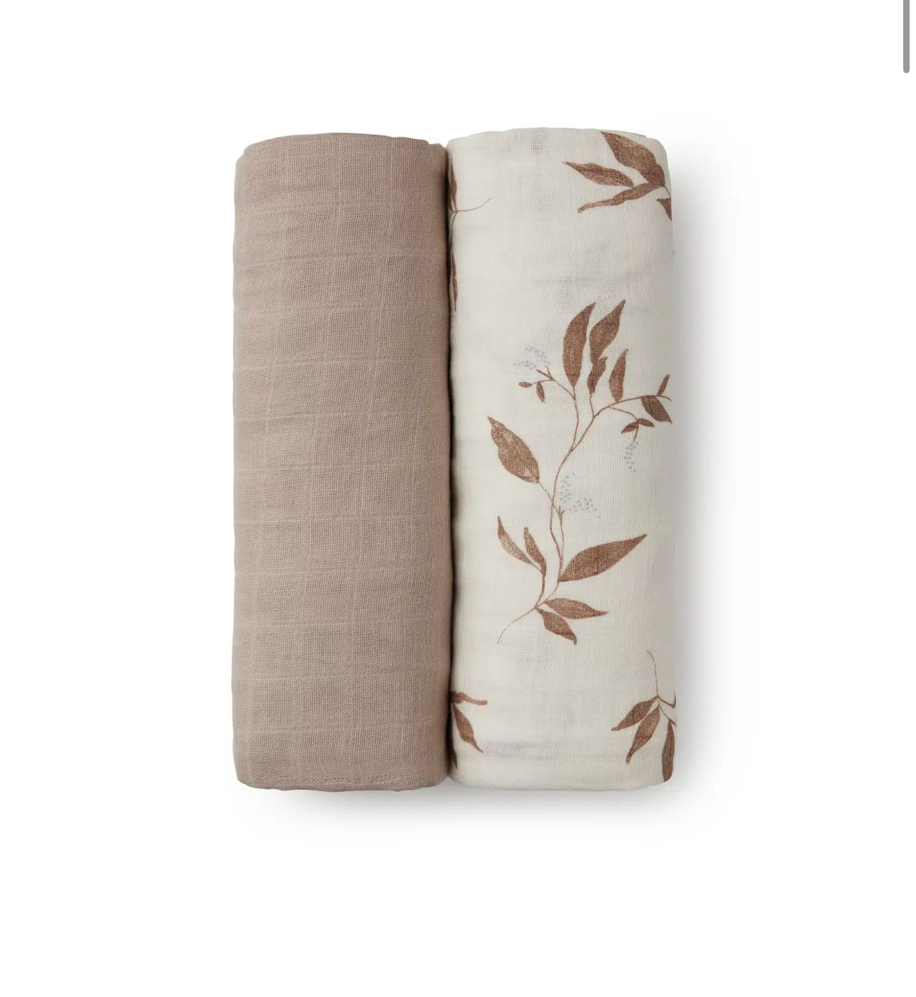 זוג חיתולי במבוק גדולים | Branches