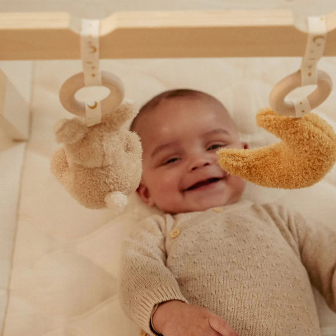 אוניברסיטה מעץ לתינוקות| Newborn Naturals