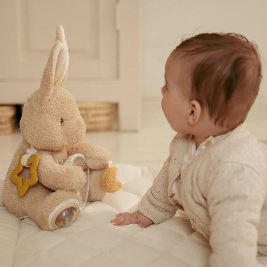 ארנב פעילות | Newborn Naturals Little Dutch