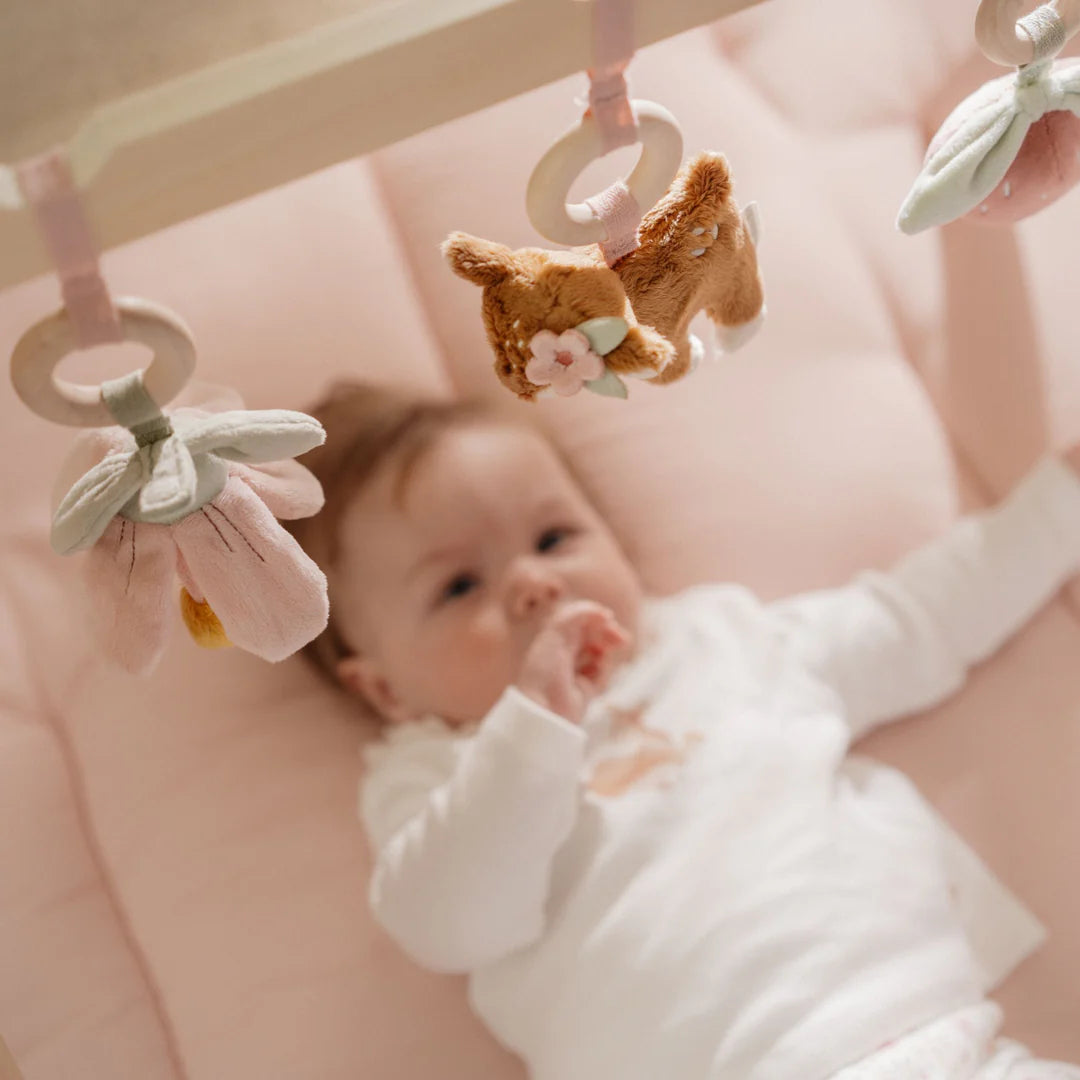 אוניברסיטה מעץ לתינוקות|גן פיות