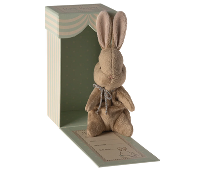 My first bunny|brown Maileg הארנבון הראשון שלי