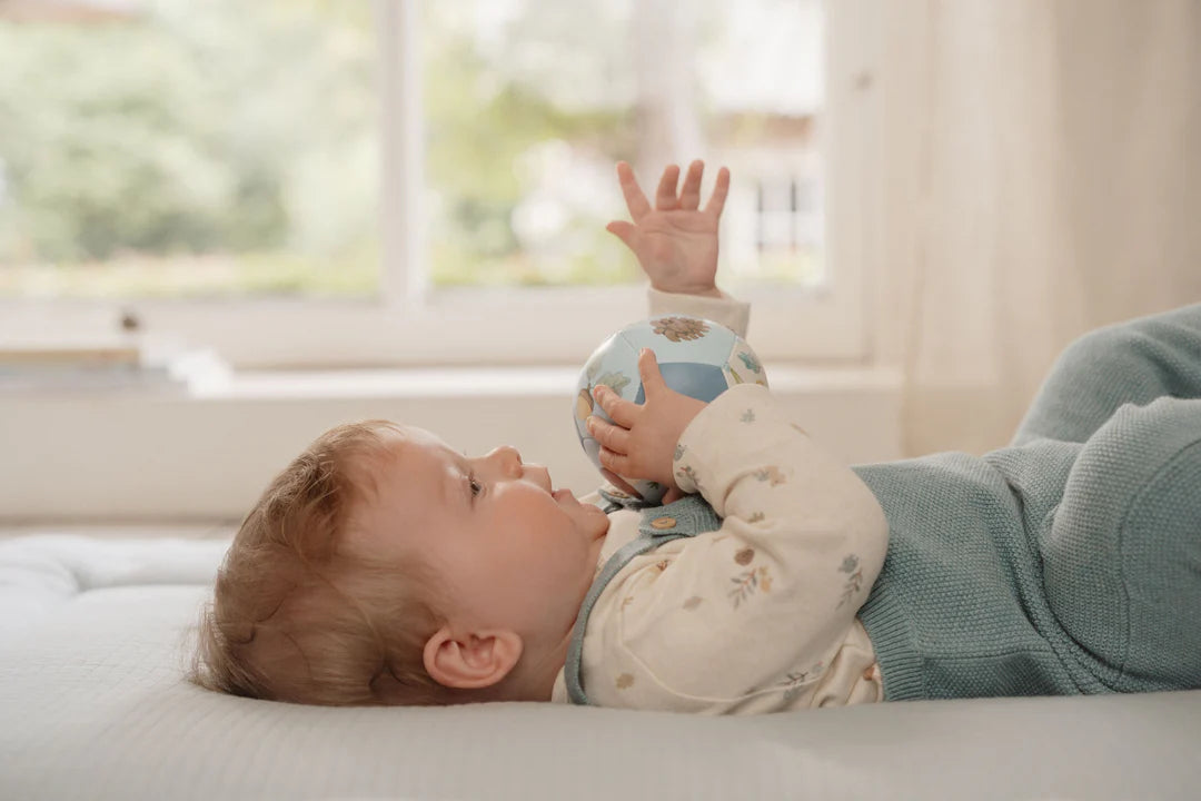 כדור רך | חברי יער