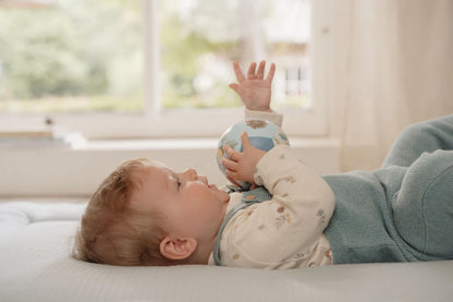 כדור רך | חברי יער