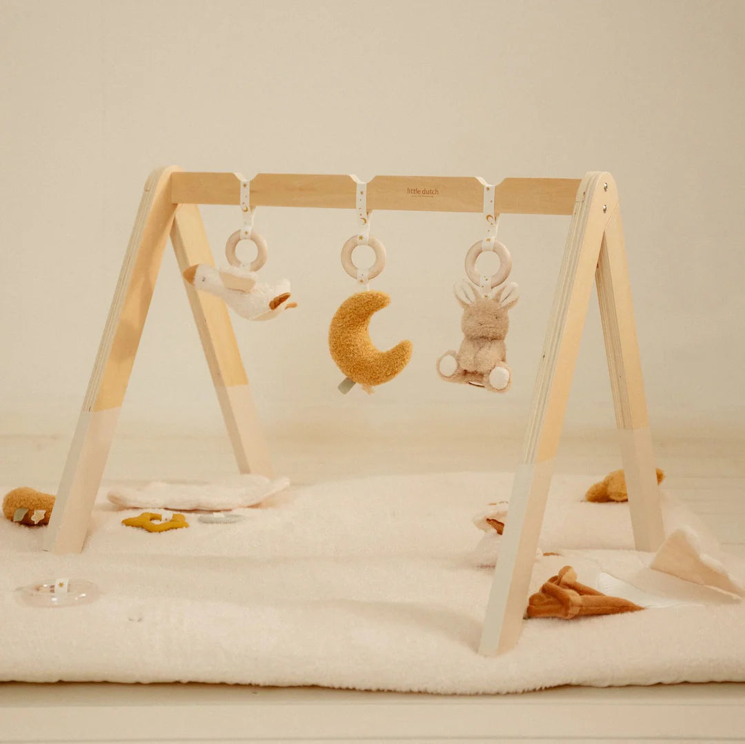 אוניברסיטה מעץ לתינוקות| Newborn Naturals