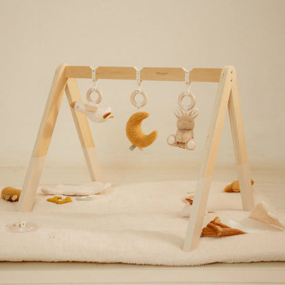 אוניברסיטה מעץ לתינוקות| Newborn Naturals