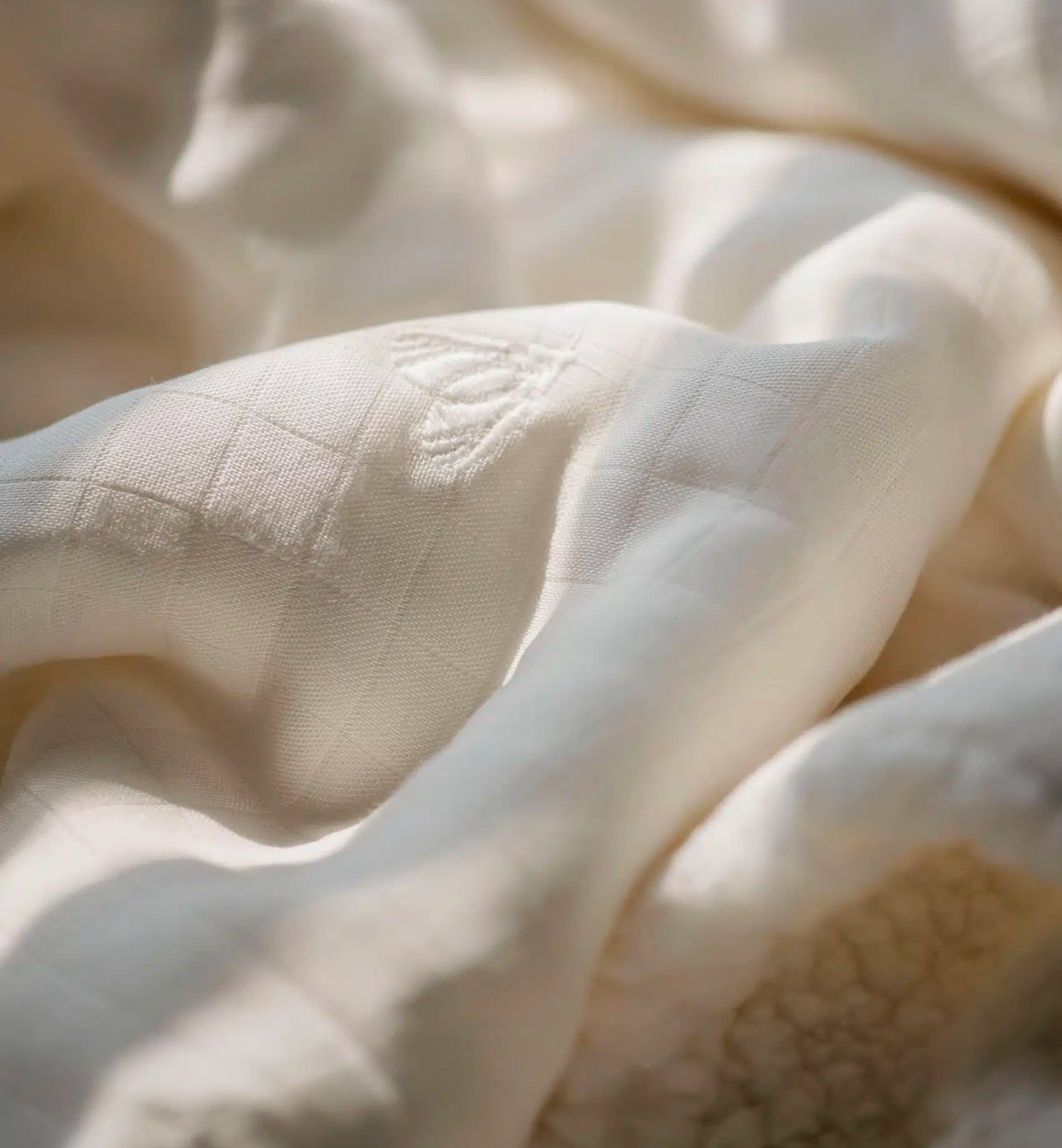 שמיכת במבוק חורפית | עש