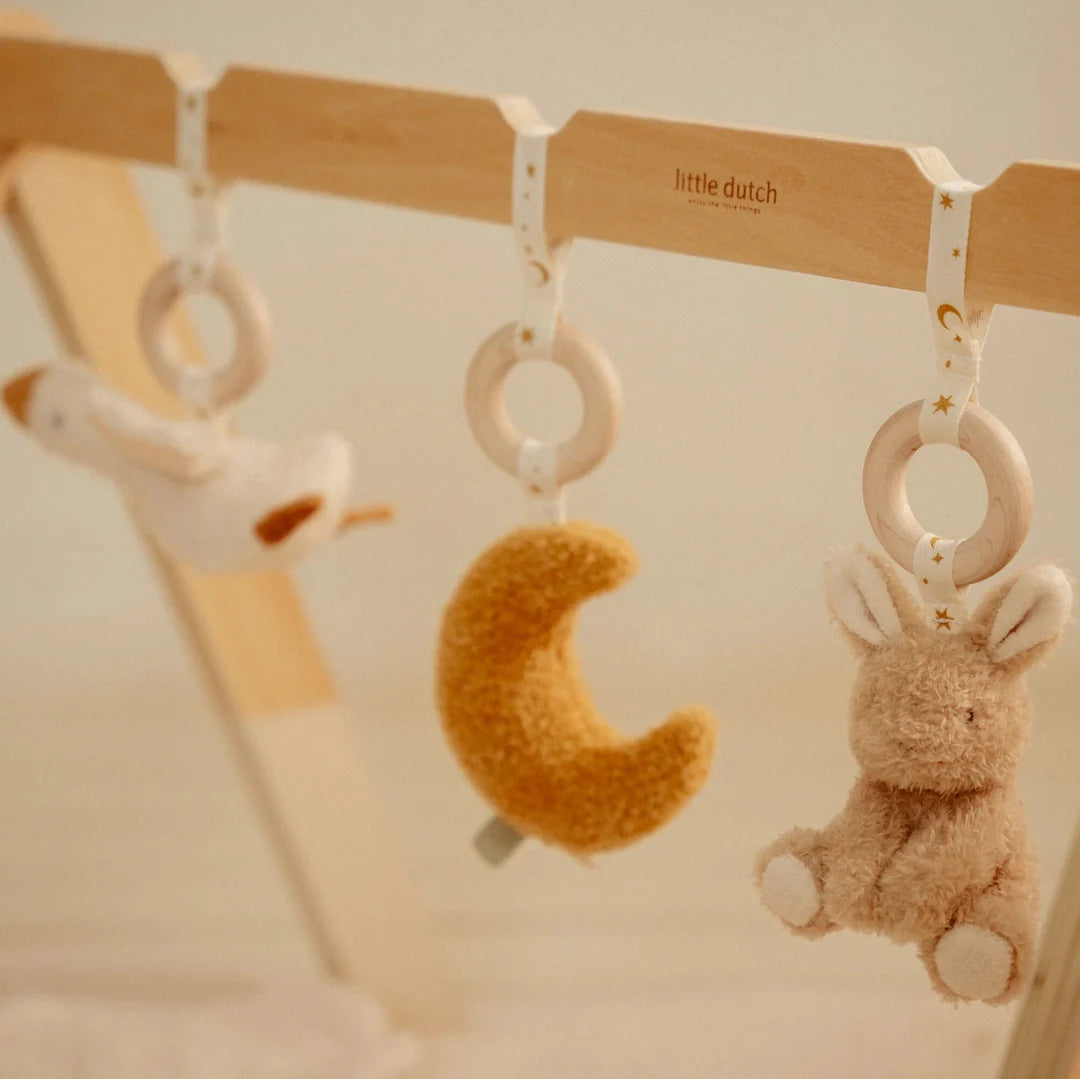 אוניברסיטה מעץ לתינוקות| Newborn Naturals