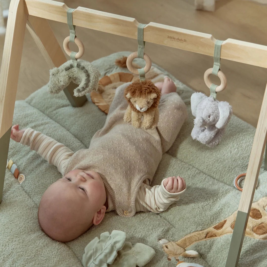 אוניברסיטה מעץ לתינוקות | חברי הספארי Little Dutch