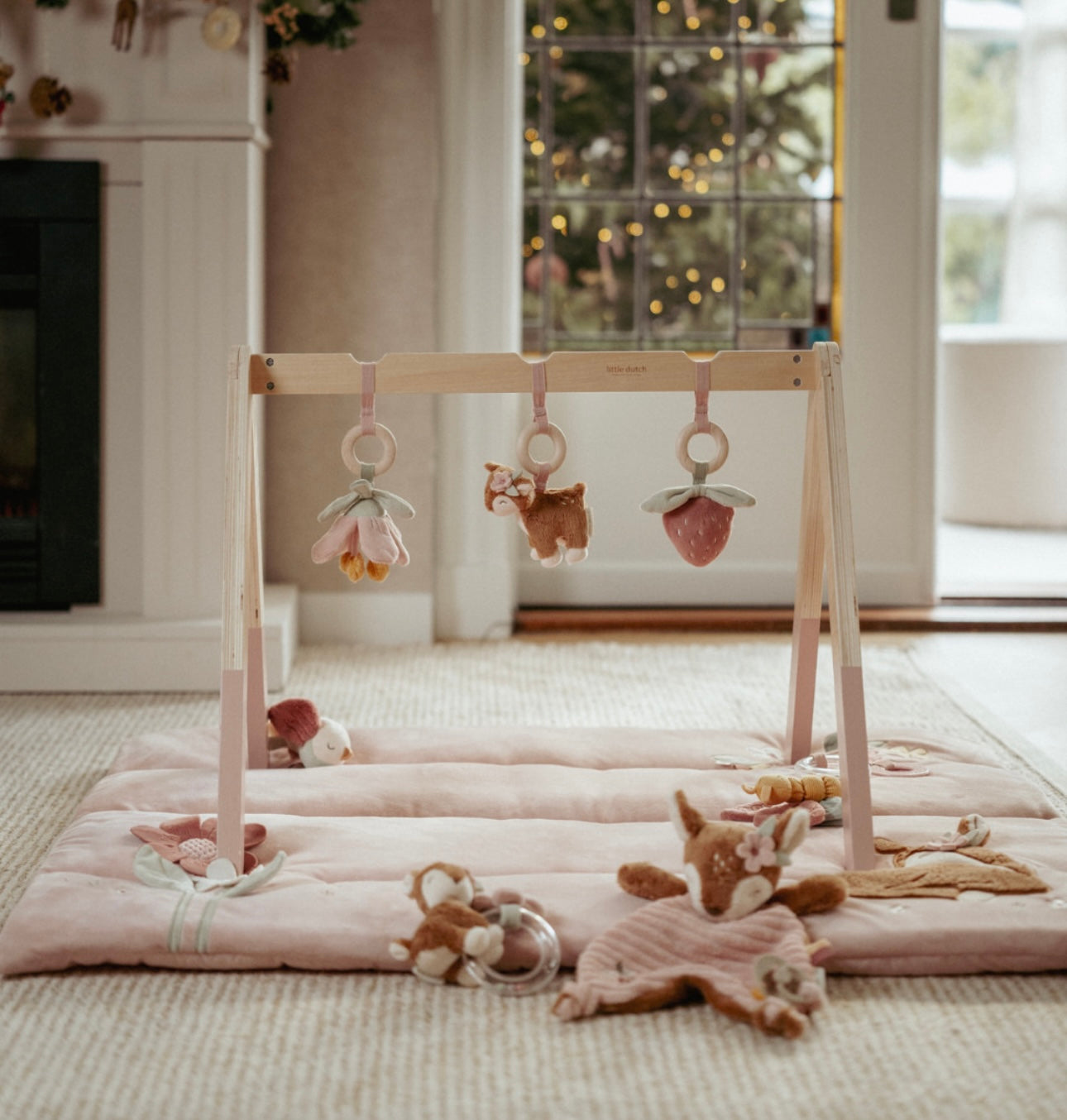 אוניברסיטה מעץ לתינוקות|גן פיות