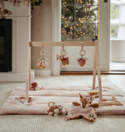 אוניברסיטה מעץ לתינוקות|גן פיות