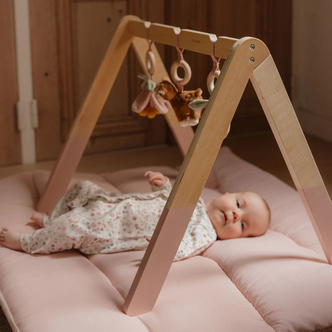 אוניברסיטה מעץ לתינוקות|גן פיות