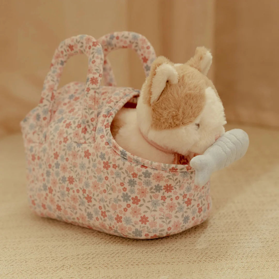 חתול חיבוק בתיק נשיאה Little Dutch