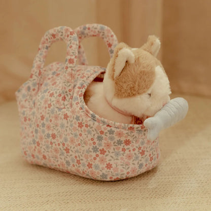 חתול חיבוק בתיק נשיאה Little Dutch
