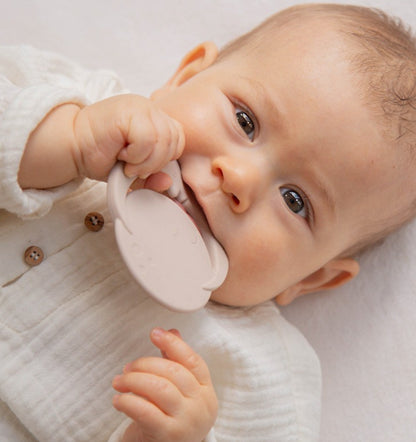 נשכן ירח לתינוק| ניוד