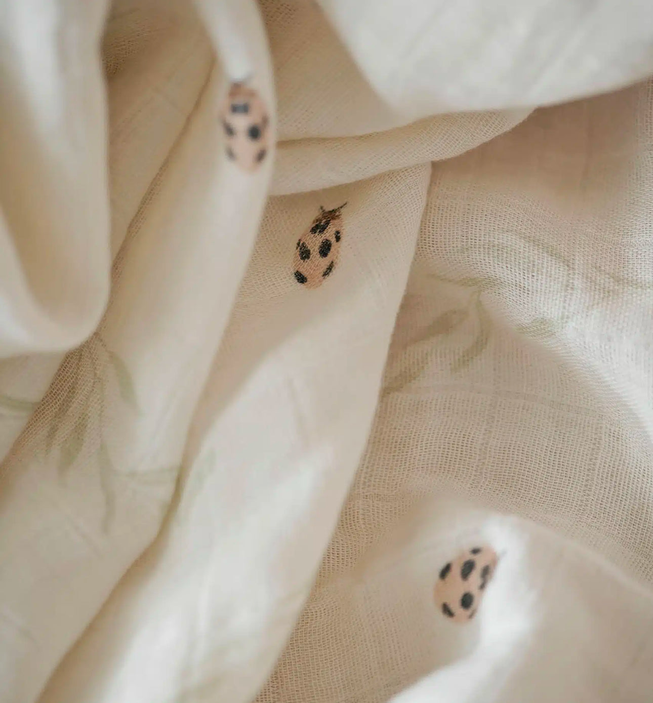 3 חיתולי מיני במבוק | Ladybug