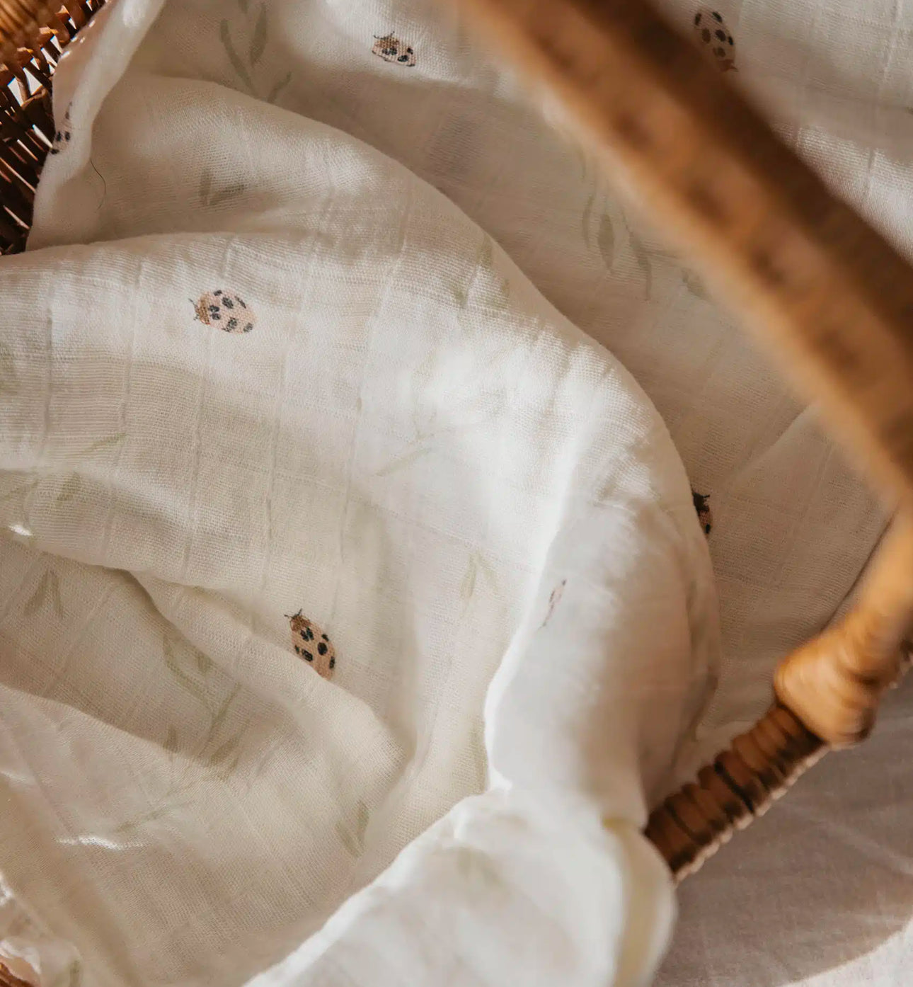 3 חיתולי מיני במבוק | Ladybug