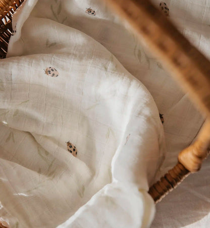 3 חיתולי מיני במבוק | Ladybug