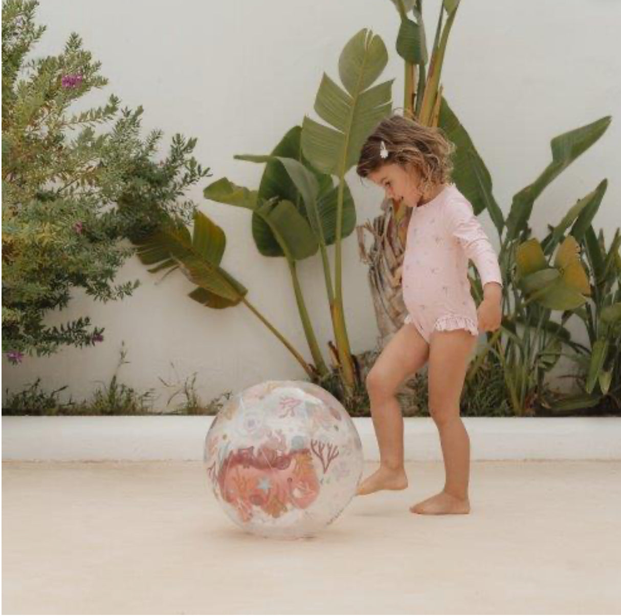 3D כדור חוף | סוסון ים