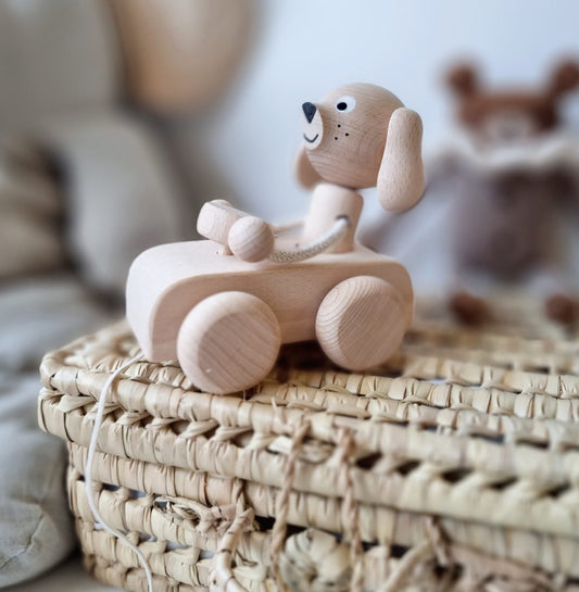 כלב ברכב נמשך מעץ maya&kaylee