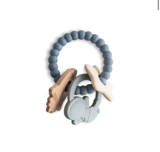 נשכן טבעת התפתחות| חלל