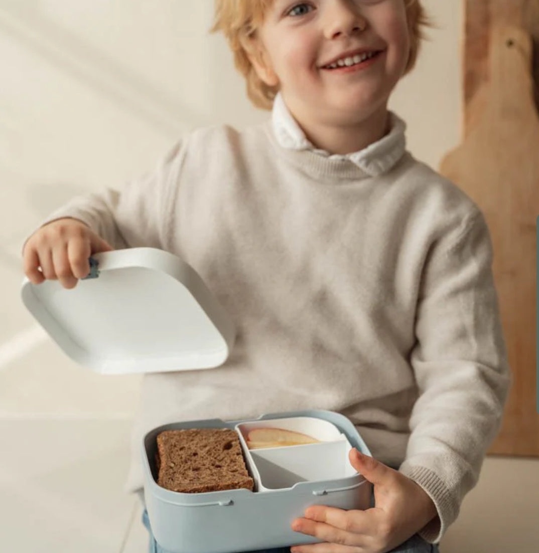 קופסת אוכל| מפרץ המלחים