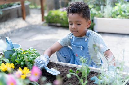 ערכת כלי גינה כחול| חברי יער
