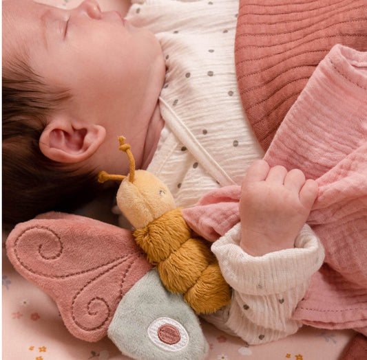 פרפר פעילות