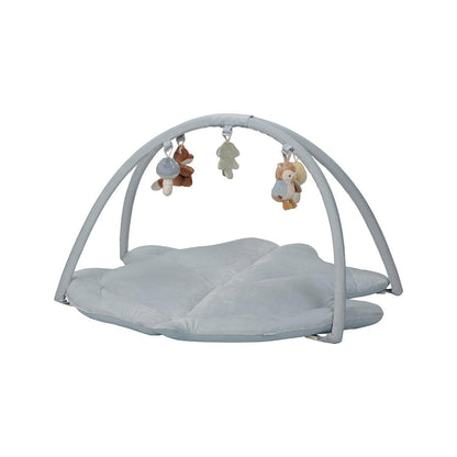 אוניברסיטה לתינוקות Little Dutch| חברי יער