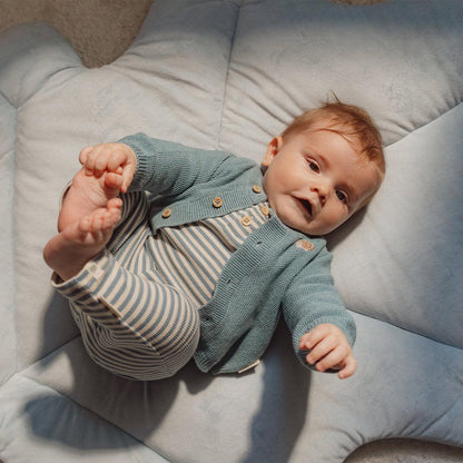 אוניברסיטה לתינוקות Little Dutch| חברי יער